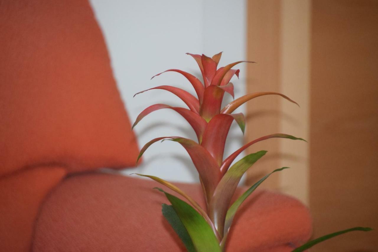 Hostal Manuela Punta Umbria Bagian luar foto